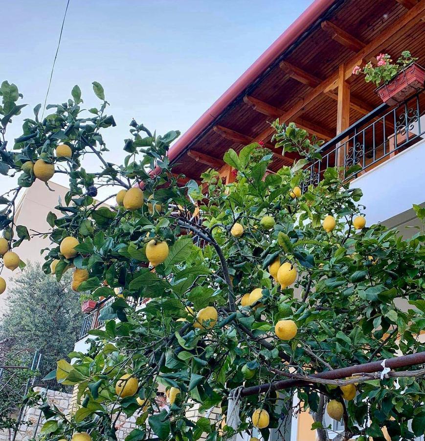 Tzavelitiko Home هيماري المظهر الخارجي الصورة