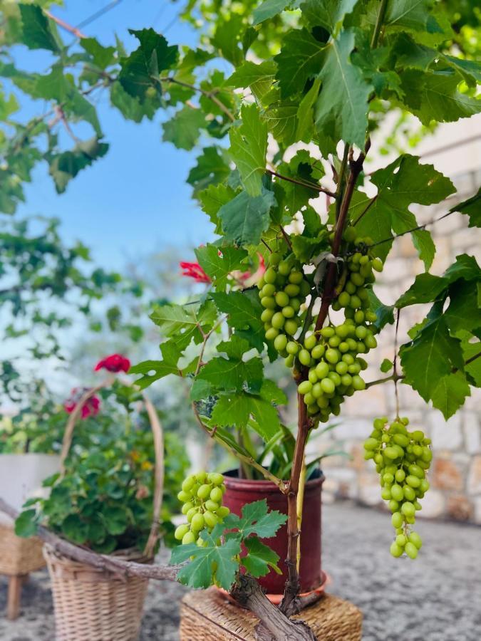Tzavelitiko Home هيماري المظهر الخارجي الصورة