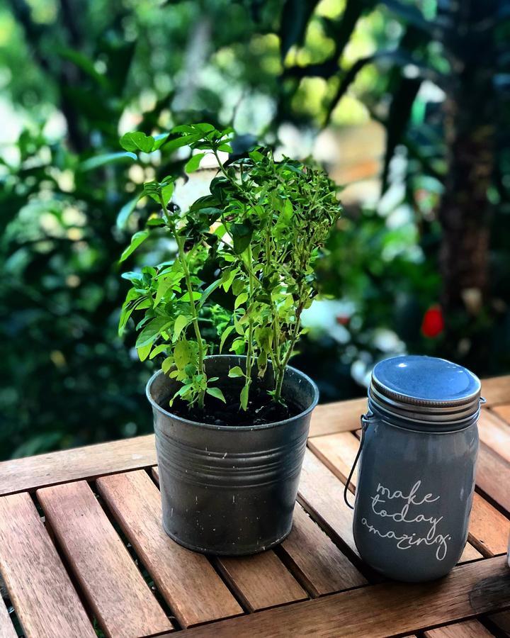Tzavelitiko Home هيماري المظهر الخارجي الصورة