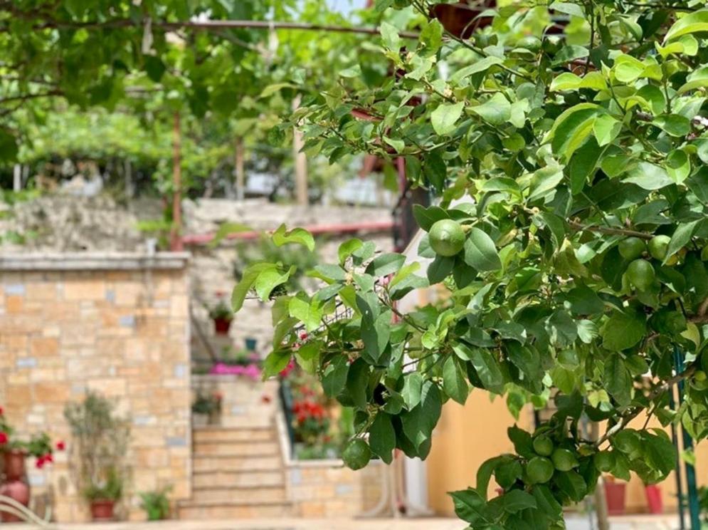 Tzavelitiko Home هيماري المظهر الخارجي الصورة